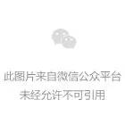 中国机器人网