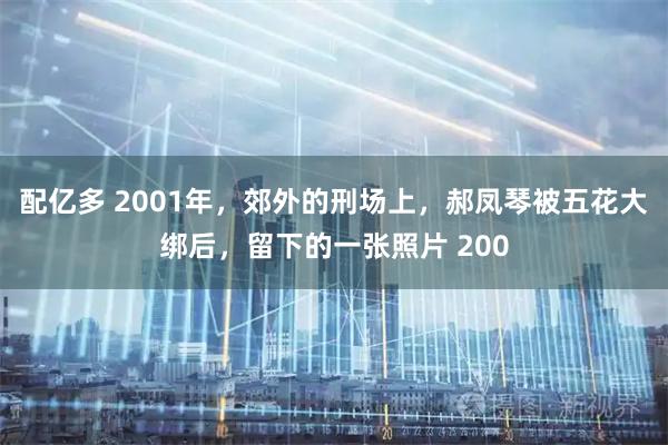 配亿多 2001年，郊外的刑场上，郝凤琴被五花大绑后，留下的一张照片 200