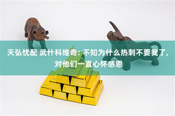 天弘忧配 武什科维奇: 不知为什么热刺不要我了, 对他们一直心怀感恩