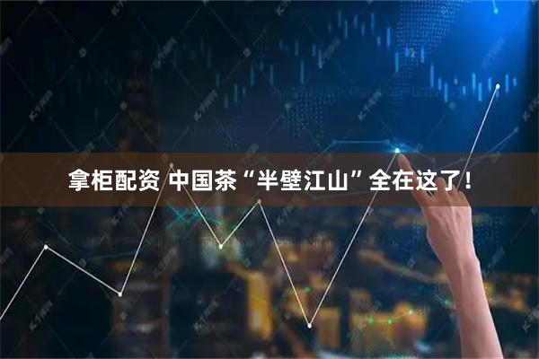 拿柜配资 中国茶“半壁江山”全在这了！