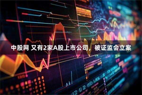 中股网 又有2家A股上市公司，被证监会立案
